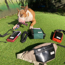 Load image into Gallery viewer, BERYL BUMBAG black / various colours