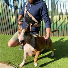 Load image into Gallery viewer, BERYL BUMBAG black / various colours