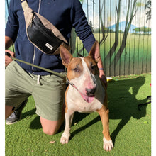 Load image into Gallery viewer, BERYL BUMBAG black / various colours