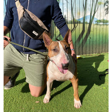 Load image into Gallery viewer, BERYL BUMBAG black / various colours