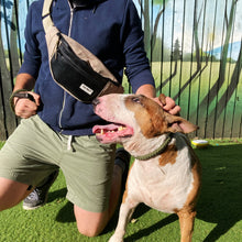 Load image into Gallery viewer, BERYL BUMBAG black / various colours