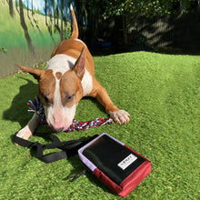 Load image into Gallery viewer, VADA PHONE POUCH / lilac / maroon