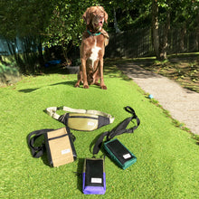 Load image into Gallery viewer, VADA PHONE POUCH / olive green / purple