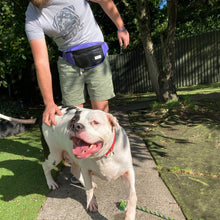 Load image into Gallery viewer, BERYL BUMBAG / black / various colours