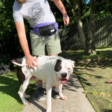 Load image into Gallery viewer, BERYL BUMBAG / black / various colours