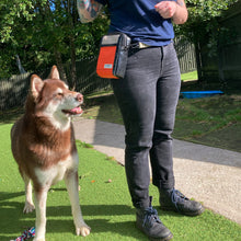 Load image into Gallery viewer, DARLA CROSS BODY BAG black / orange / beige