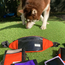 Load image into Gallery viewer, BERYL BUMBAG black / various colours