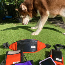 Load image into Gallery viewer, BERYL BUMBAG black / various colours