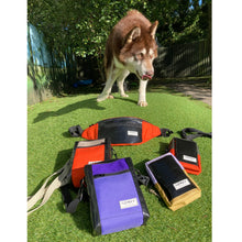 Load image into Gallery viewer, VADA PHONE POUCH / lilac / mustard